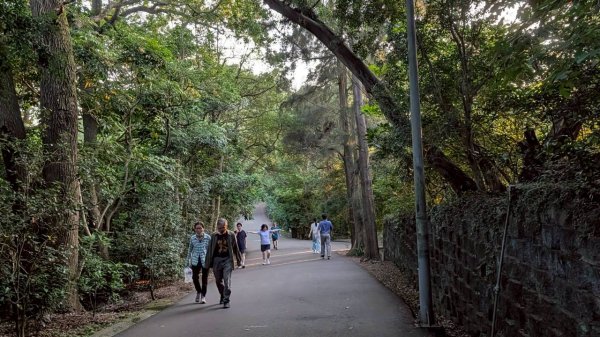 十八尖山步道3056562