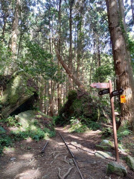 加里山（鹿場登山口往返）934094