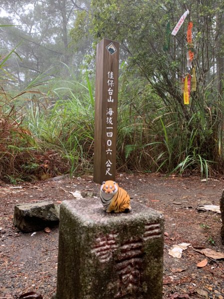 20200822台中和平東八仙山、至八仙山2544030