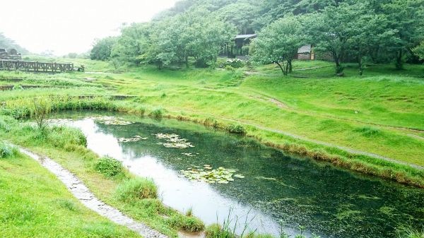 梅雨特訓~陽明山四湖連走137557