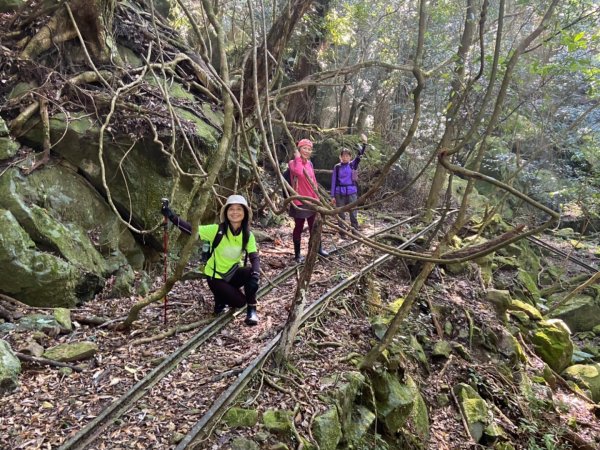 南庄加里山林業遺跡忘雨巖2026041