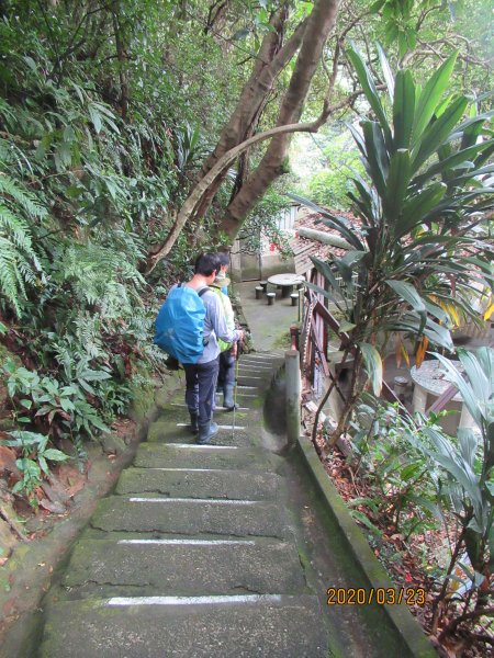 劍潭山步道904737