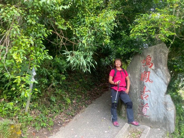 苗栗縣獅潭鄉鳴凰古道O型縱走2803659