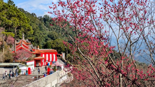 貓貍山.協雲宮,青青草原2701156