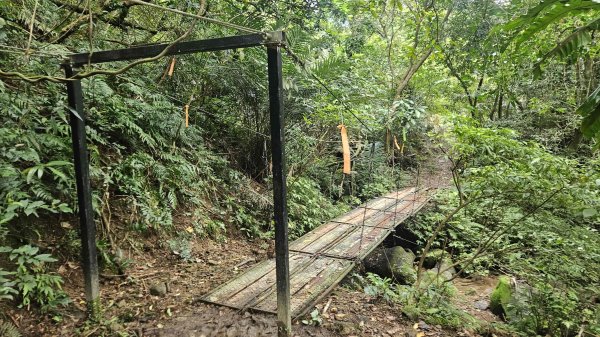 20260323后番仔坑山-內平林山-新路尾山-頂坑山-三貂嶺中心點3023698