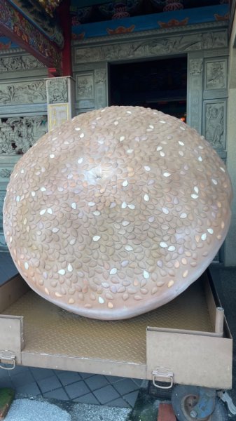 基隆尋找7隻傘人家族2712716