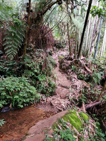 小百岳集起來-石牛山2183129