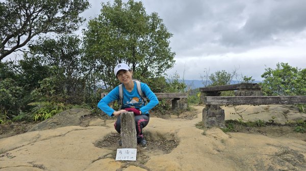 2025樂活夜櫻季搶先看，內湖樂活公園夜櫻季明天熱鬧登場，沿內溝溪3公里近距離欣賞寒櫻、昭和櫻、吉野2695701