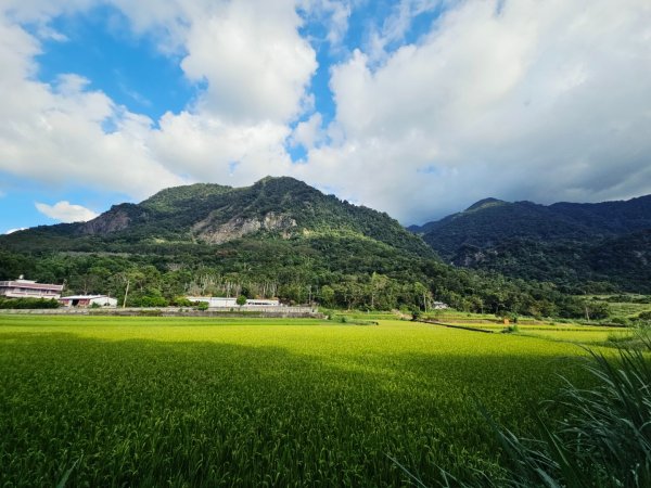 羅山村竹林步道-2025漫遊縱谷愛在花東-花蓮縣富里鄉2916728