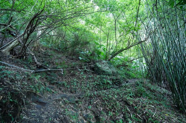 新北 八里 觀音山、牛港稜山2681333