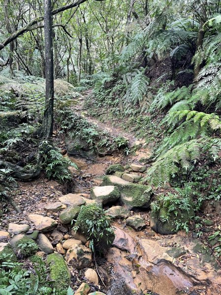 大湖翠湖金龍湖2711905