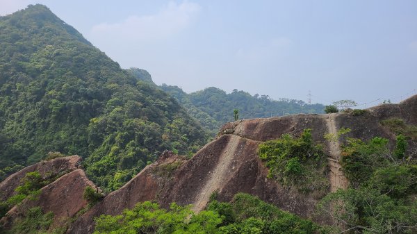 新北三峽-五寮尖、永達煤礦礦坑口遺跡1415967