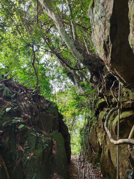 馬胎南坪古道2764742