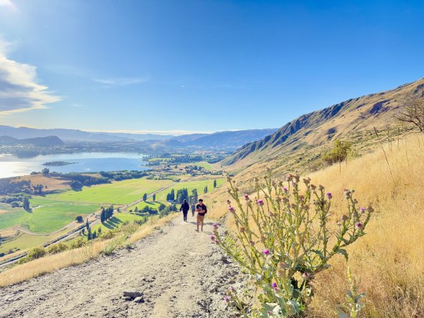 紐西蘭之旅-羅伊峰（Roy Peak ）Hiking 2025.1.282709649