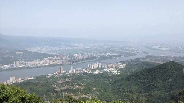 觀音山 硬漢嶺步道2116862