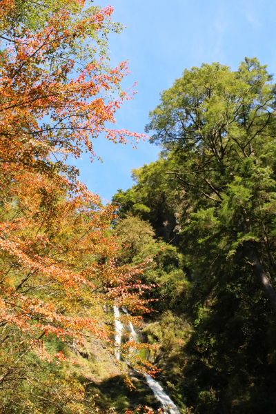 桃山瀑布步道