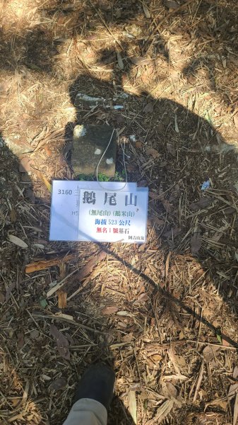 2025-0130溪和宮-大崎頭步道-鵝尾山-平溪步道-鵝尾山水田-42巷-溪山百年古圳-平菁步道2701867