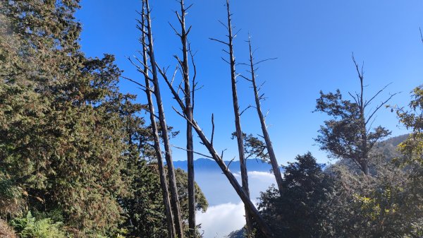 惠蓀大O聖逆走二部曲  2024年12月29日2679247