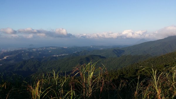 拔西猴山_草濫古道_姜子寮山1865535