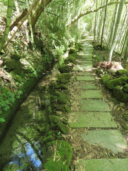 小半天孟宗竹林古戰場+長源圳生態步道Ｏ形2877861