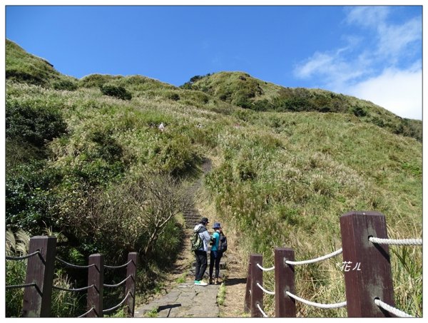 七星山連峰/芒花738691