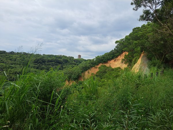 大肚環保公園登山步道202309102293382