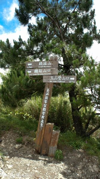 麟趾山賞雲霧繚繞的玉山群峰361821