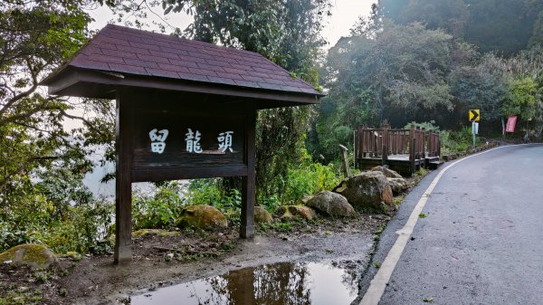 留龍頭 嶺頭山 金柑樹山 忘憂森林 我想抓住您的美2092089