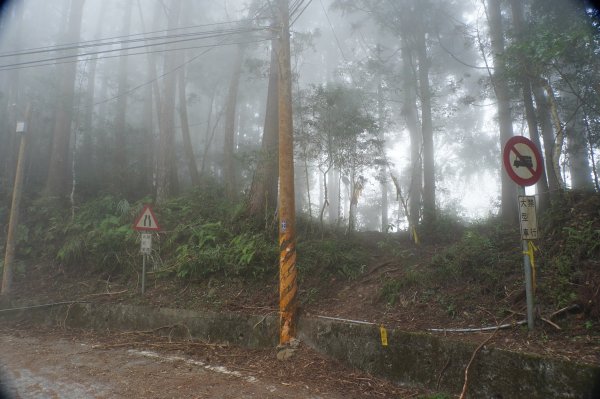 南投 鹿谷 龍鳳山、龍鳳峽山、三叉崙山、水桶寮山、內樹皮山、羊頭崙山、志騰山、竹崙山、溪頭山2962322