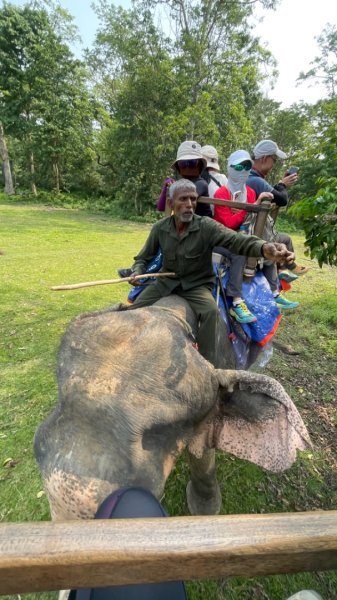 尼泊爾奇旺國家公園4天三夜2788895