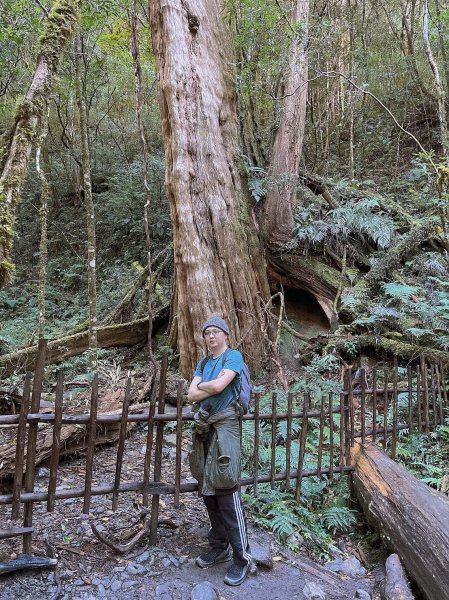 中級山-司馬庫斯2888942