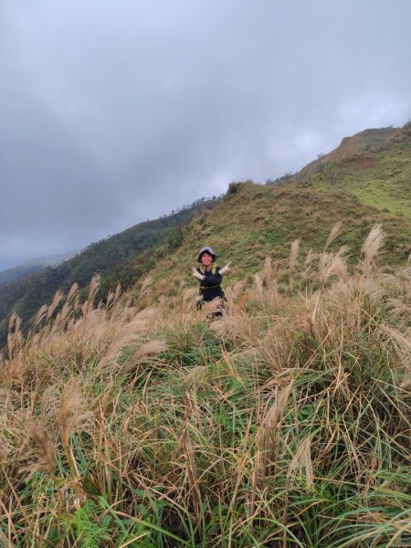 渭水之丘 烘爐地山 抹茶山 三角崙山2938758