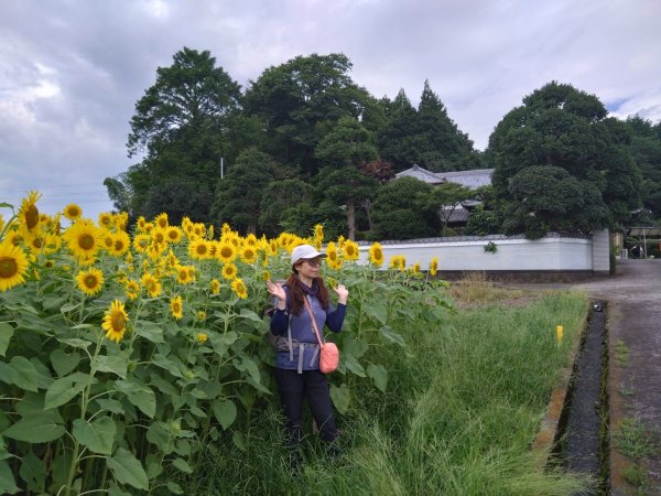 富士山御殿場線~海拔0至37762559117