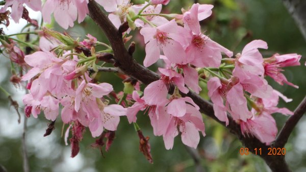 沒有意外，再度槓龜 !876576