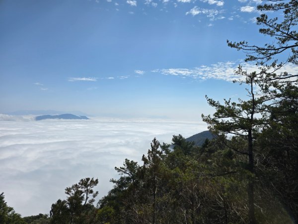 蝶夢八唐（裡冷登山口往返）八仙山出雲海下山順賞富士櫻2722716
