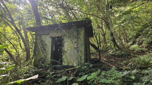 20250808內柑宅古道-紅葉谷瀑布2857229