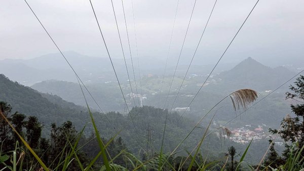 貓囒山步道2928523