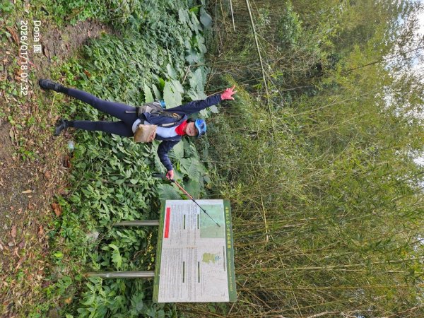 南插天山.魯培山.上宇內山(南插北峰)2989740