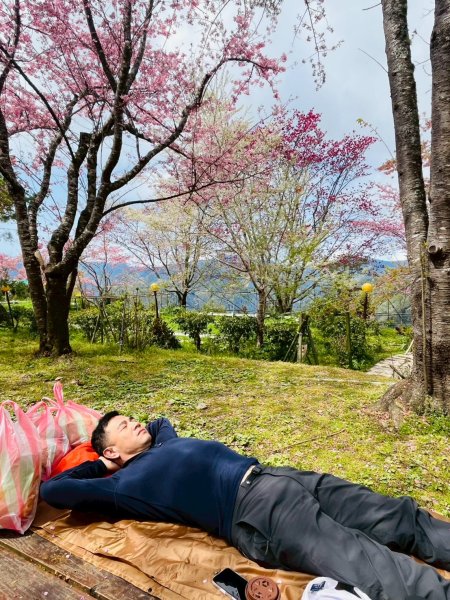 桃園 復興 巴陵 恩愛農場3011861