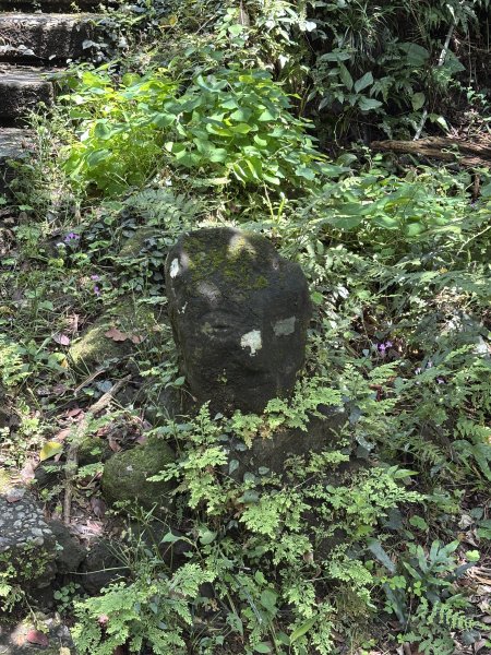 紅淡山3043542