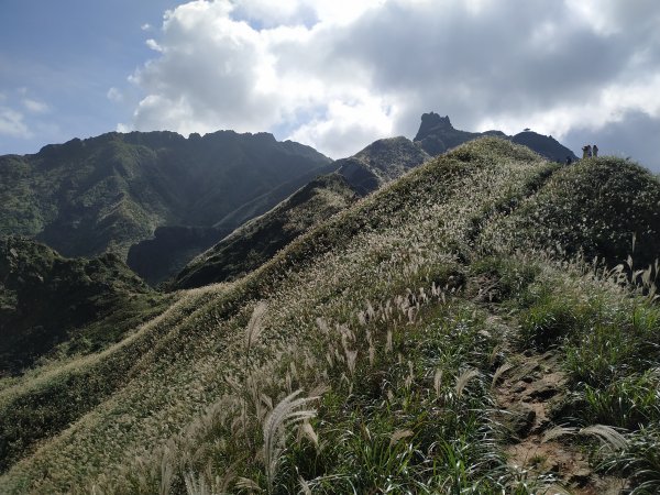 茶壺山賞芒,煙囪稜看海1186596