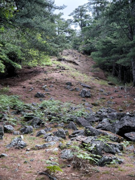 2026-05-23 小雪山防火巷、拾丸山南峰3062357