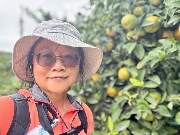 太元宮-關西玉山前-玉山/南柯山-東獅頭山/赤柯山南峰-赤柯山-太元宮 O繞2958075