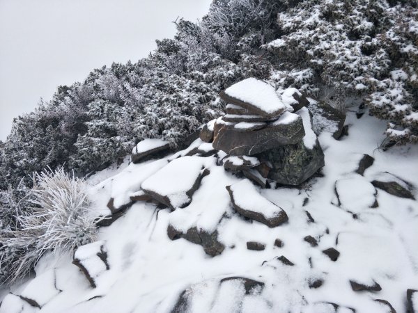 百岳:玉山南峰_雪季1575116