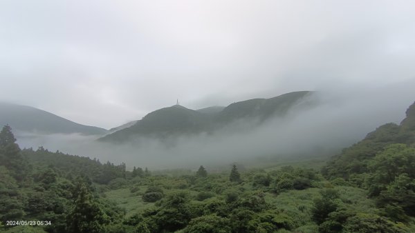 陽明山再見雲海&雲瀑5/23 #五色鳥育雛2510725