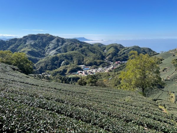 雲嘉三連峰（太平山、梨子腳山、馬鞍山）1593164