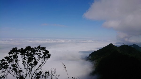 仙山登山步道503214