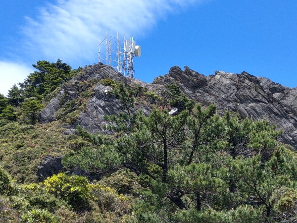 高雄/花蓮/台東-嘉明湖-向陽山-三叉山3053721