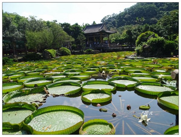 雙溪公園步道684466