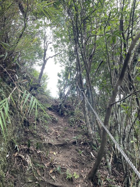 石笋古道O型2553820